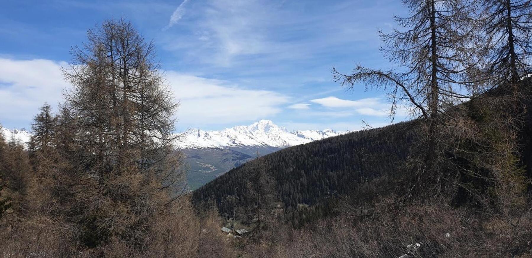 Residence Plagne Lauze - Maeva Home - Studio 2 Personnes - Selection Mae-9201 Macot-la-Plagne 外观 照片